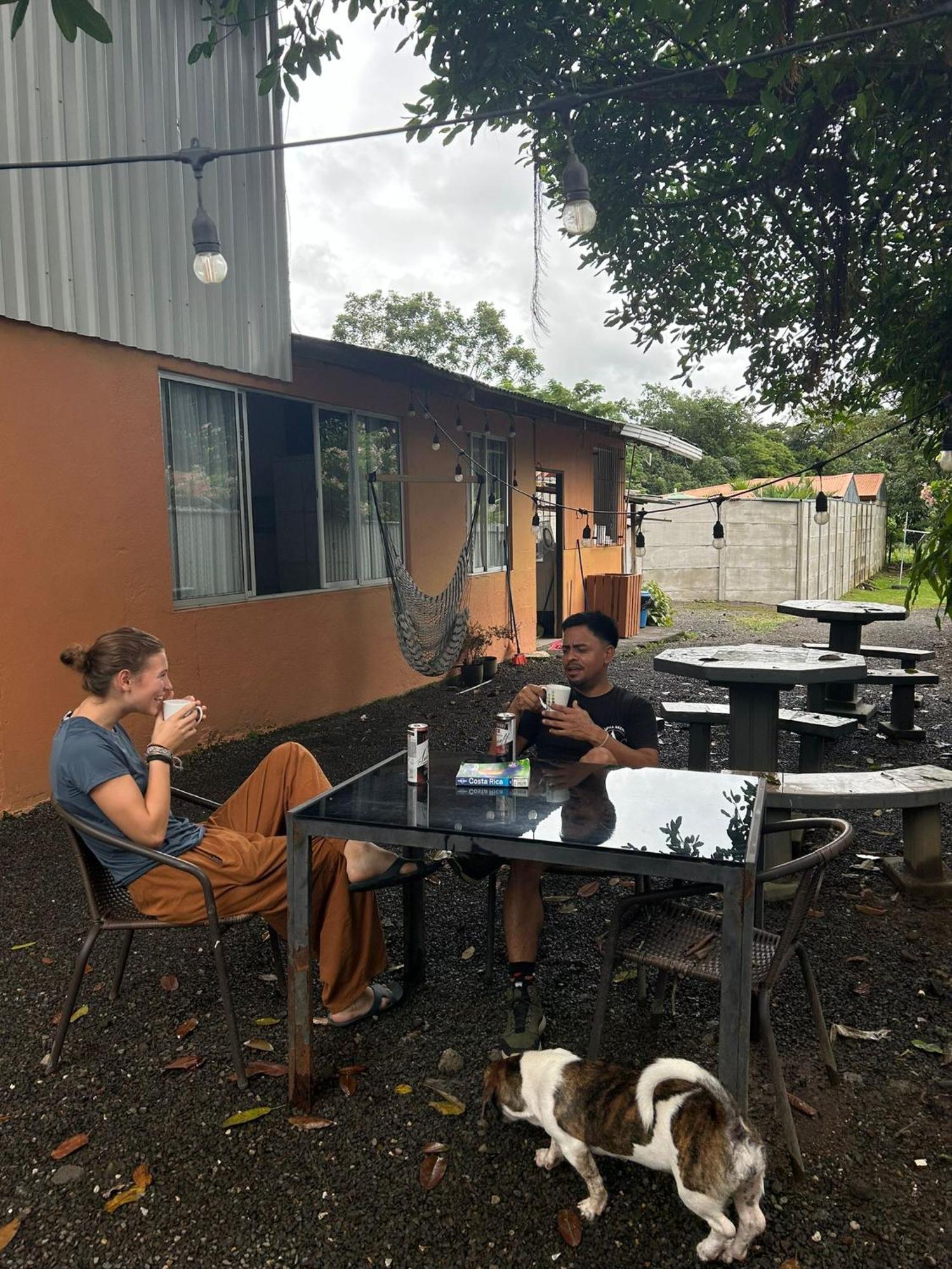 Alpha Arenal Hostel ラ・フォルトゥナ エクステリア 写真