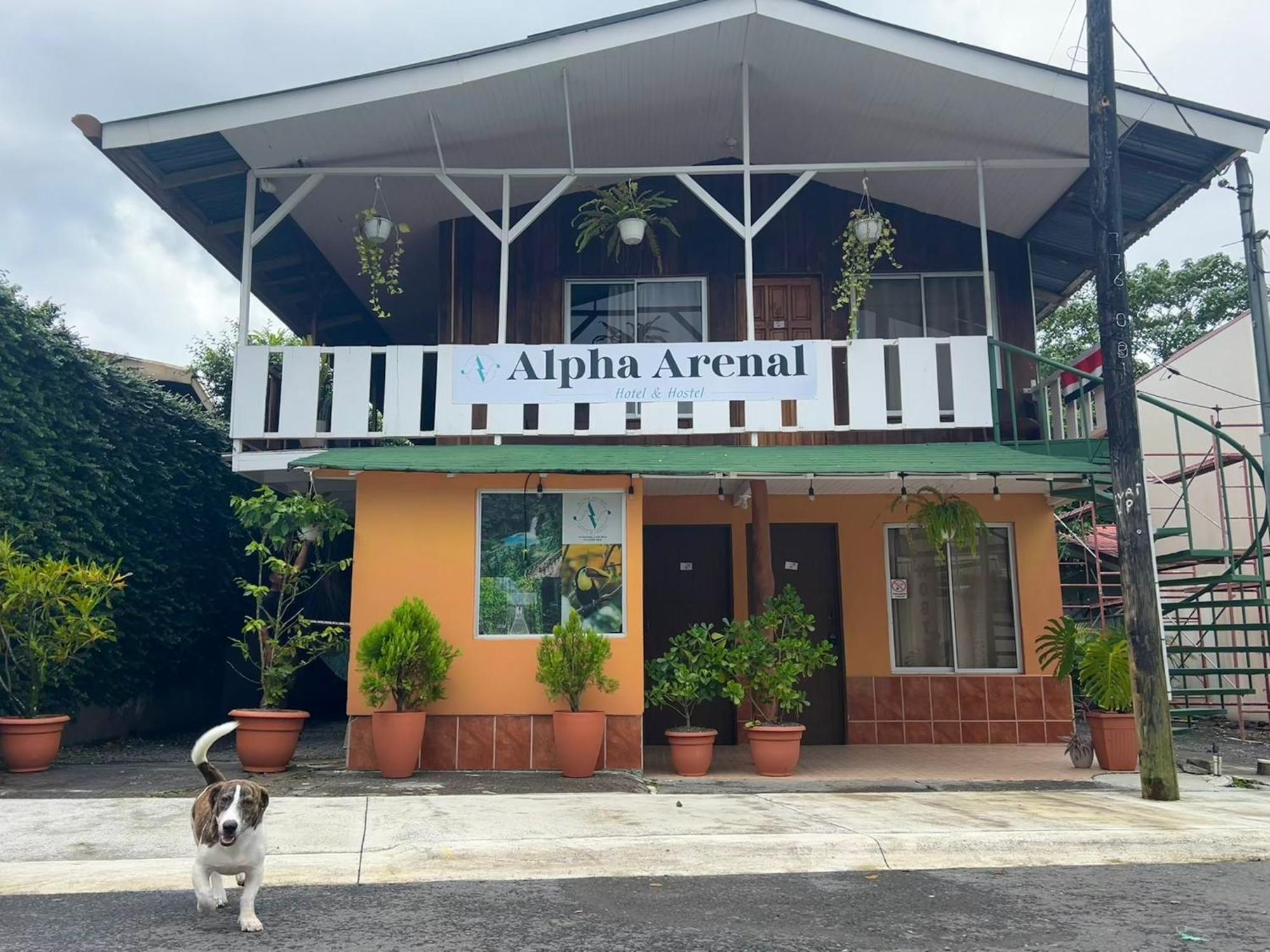 Alpha Arenal Hostel ラ・フォルトゥナ エクステリア 写真