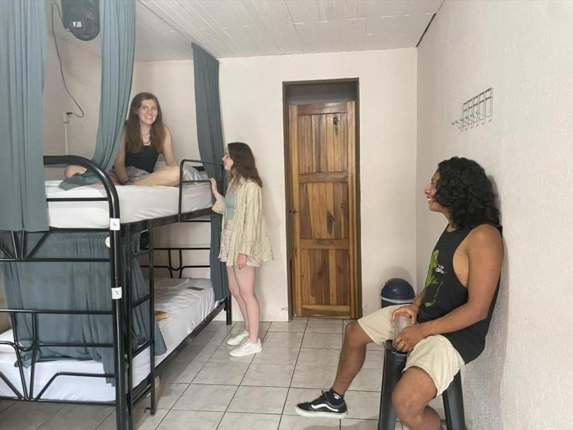 Alpha Arenal Hostel ラ・フォルトゥナ エクステリア 写真