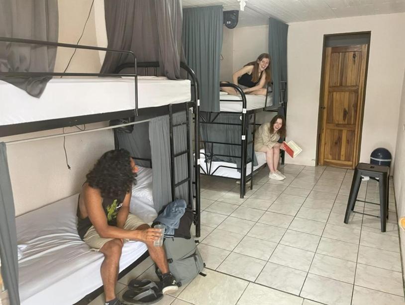 Alpha Arenal Hostel ラ・フォルトゥナ エクステリア 写真